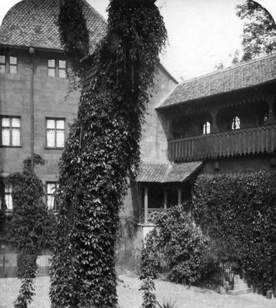 Limeira em um pátio, Nuremberg, Baviera, Alemanha, c1900s. de Wurthle and Sons