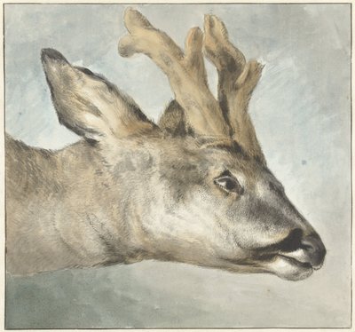 Cabeça de um Roebuck de Wybrand Hendriks