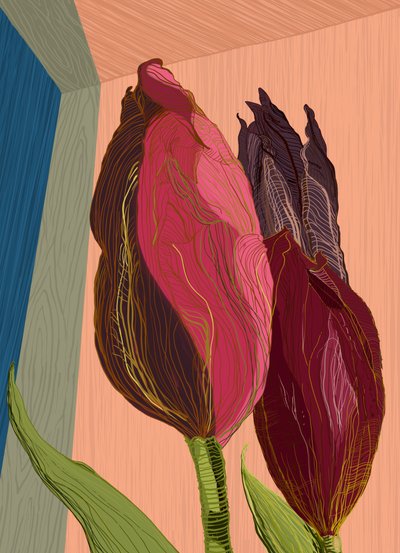 Tulipas modernas e vibrantes de XHOZUCAN