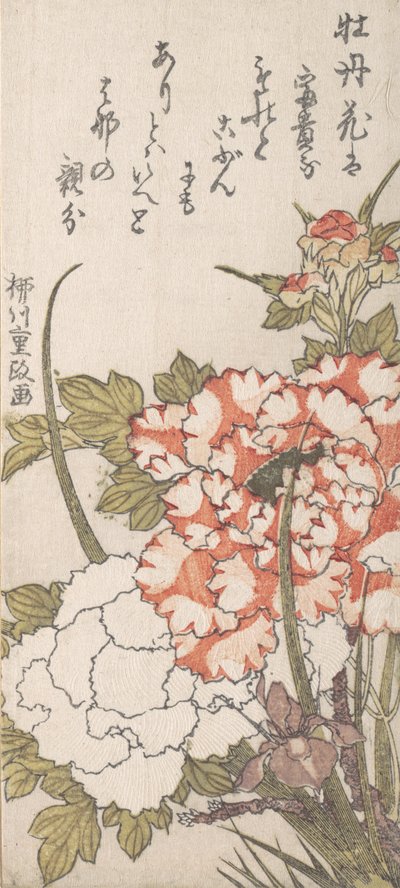 Peônias e Íris, século 18-19. de Yanagawa Shigemasa