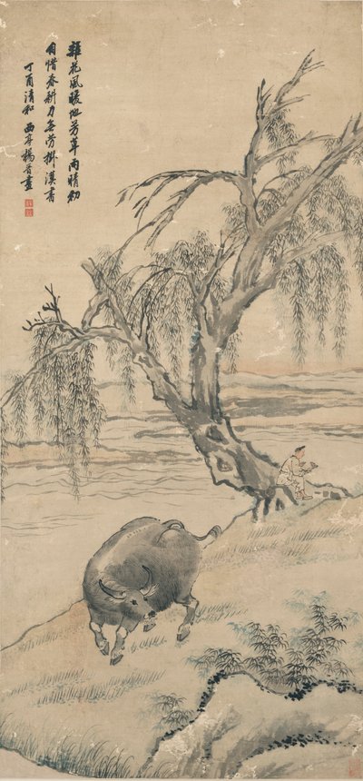 Búfalo no Willow Bank de Yang Jin