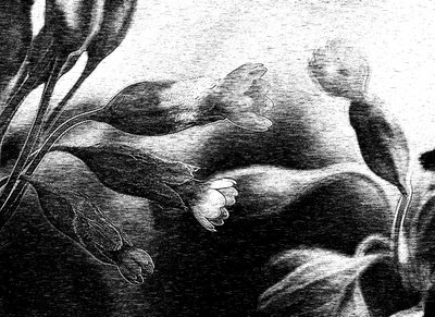 Delicado desenho floral de Ylva Sjögren