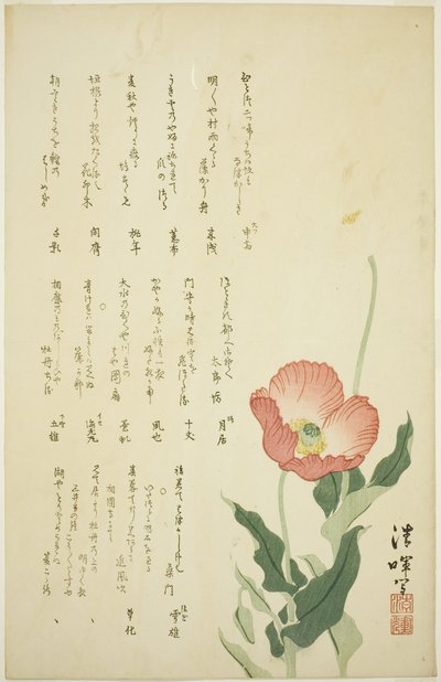 Duas papoulas de Yokoyama Seiki