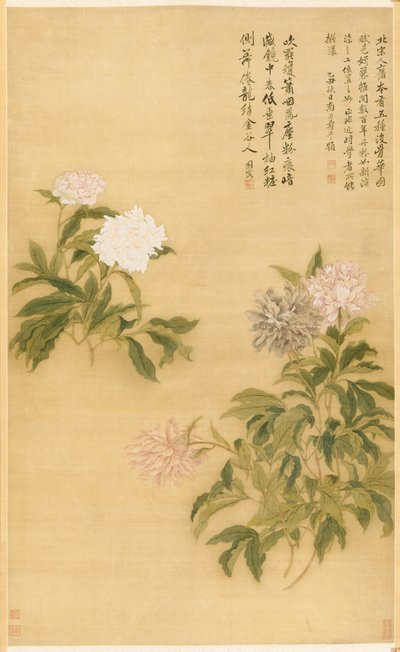 Peônias de Shouping Yun