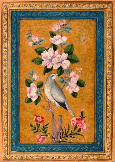 Pássaro pousando em um galho em flor, 1696. de Yusuf Zaman