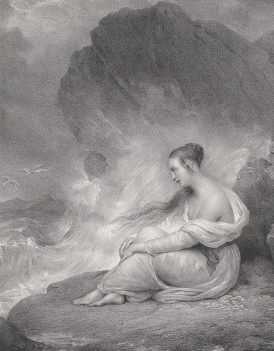 Desespero, 1830-58. de Zephirin Felix Jean Marius Belliard