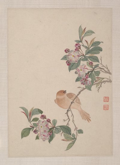 Aves, insectos e flores de Zhai Yi