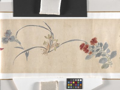 Flores coloridas de Zhimian Zhou