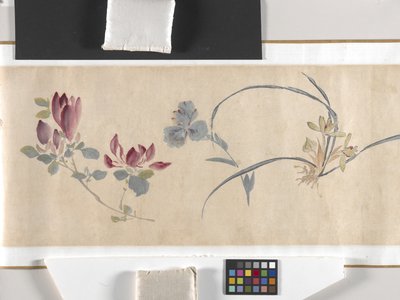 Flores coloridas de Zhimian Zhou