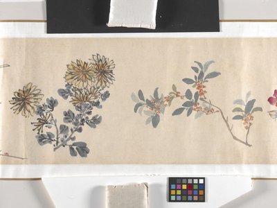 Flores coloridas de Zhimian Zhou
