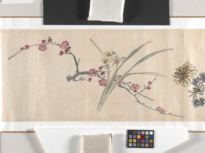 Flores coloridas de Zhimian Zhou