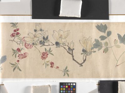 Flores coloridas de Zhimian Zhou