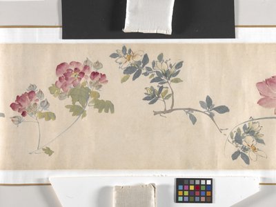 Flores coloridas de Zhimian Zhou