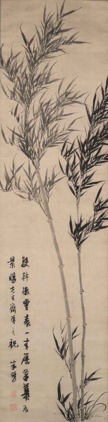 Bambu de Zhu Lu
