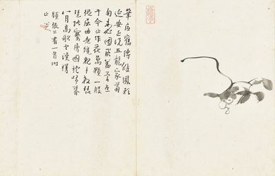 Paisagens e flores, álbum de seis folhas de Zhu da Bada Shanren