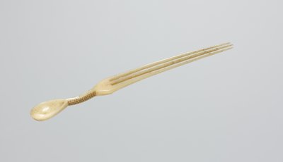 Colher - Pente de rapé, final de 1800 (osso) de Zulu