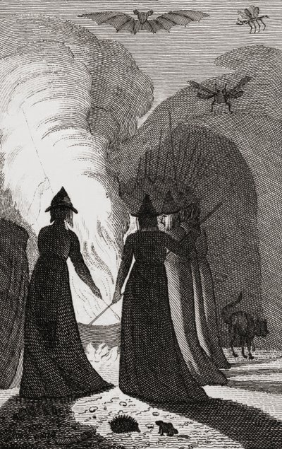 Um coven de bruxas ao redor de um caldeirão. de . .