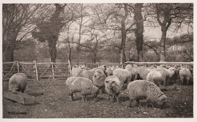 Uma Pastoral de Outono (un automne champetre) de Frederick (attr. to) Barnard