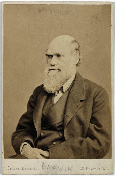 Charles Darwin, naturalista inglês, c 1870s de Ferdinand Georg Waldmuller