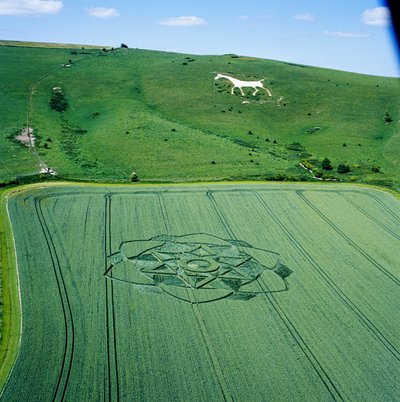Círculo de culturas no campo de trigo, Milk Hill, Alton Priors, Vale of Pewsey, Wiltshire de Ferdinand Georg Waldmuller