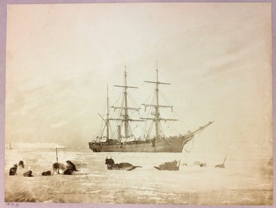 Expedição Ártica (1875-1876) do Capitão George Nares (1831-1915): H de Frederick (attr. to) Barnard