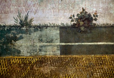 Jarra com flores, detalhe de um afresco que representa um jardim com árvores frutíferas e pássaros, da Casa de Livia na colina de Palatino, Roma, Itália. A civilização romana de Georg Carl Heinrich Dollmann