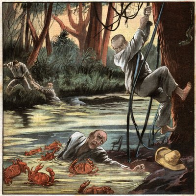 Forcats en Guyane. Prisioneiros na Guiana Francesa. de Ferdinand Georg Waldmuller