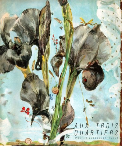 Íris (flor). c.1920 (gravura) de . .