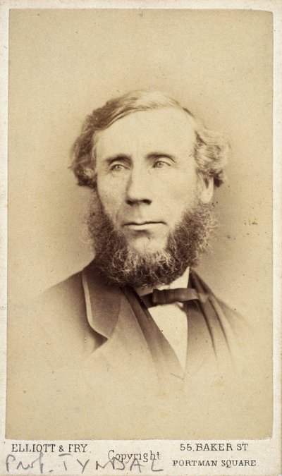 John Tyndall, físico irlandês, c 1875 de Frederick (attr. to) Barnard