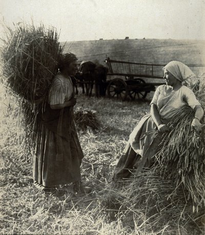 Ceifeiras, por volta de 1900 de Frederick (attr. to) Barnard