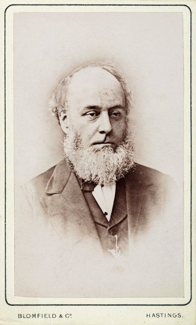 Sr. Hackett, secretário da Companhia Geral de Navegação a Vapor de Frederick (attr. to) Barnard