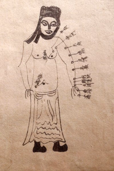 Museum of Traditional Vietnamese Medicine, The channels and vessels, Livro de acupunctura, Cidade de Ho Chi Minh, Vietname de John Pardon