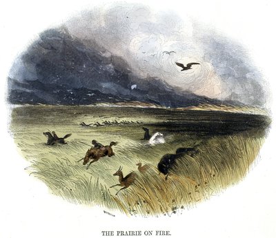 Prairie on Fire