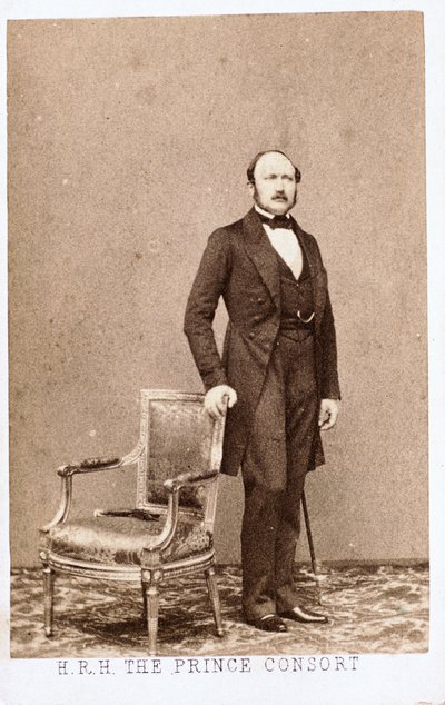 Príncipe Alberto, Consorte da Rainha Vitória, c 1860 de Frederick (attr. to) Barnard