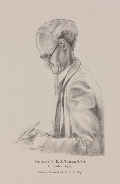 Professor W E S Turner, Novembro de Frederick (attr. to) Barnard