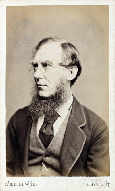 Sir Joseph Dalton Hooker, botânico britânico, final do século XIX. de Ferdinand Georg Waldmuller