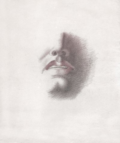Estudo para o rosto de um homem: boca e nariz. cerca de 1830 (desenho) de . .