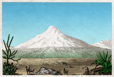O vulcão Chimborazo do planalto de Tapia, Equador. cerca de 1840 (gravura) de . .