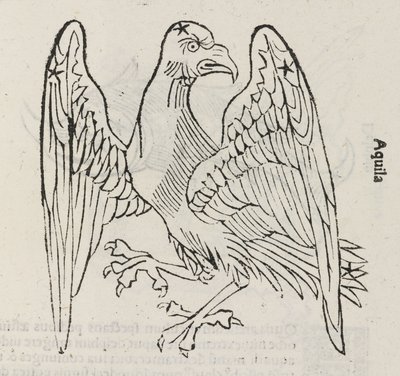 A constelação de Aquila de John Pardon