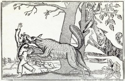 O lobo por volta de 1820 (gravura) de . .