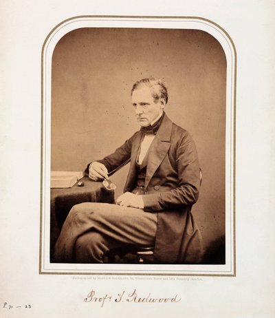 Theophilus Redwood, químico galês de Ferdinand Georg Waldmuller