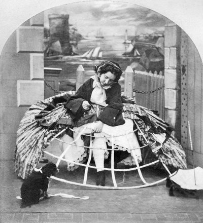 Reino Unido : Stereoscope Entitled Crinoline Advantages, c1860 de Ferdinand Georg Waldmuller