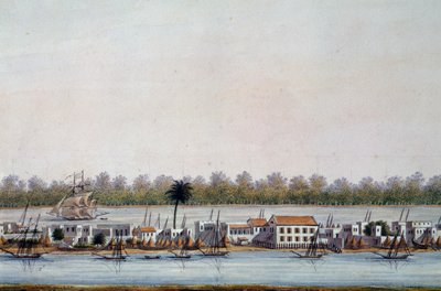 Vista de St Louis, Senegal de William Walcutt