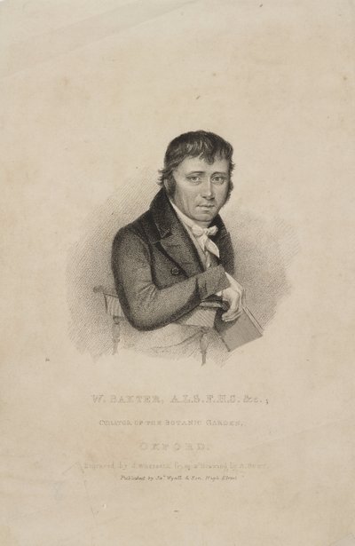 William Baxter, ALS FHS, botânico britânico, c 1820s de Frederick (attr. to) Barnard
