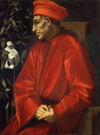 Retrato de Cosimo, o Velho de Pontormo