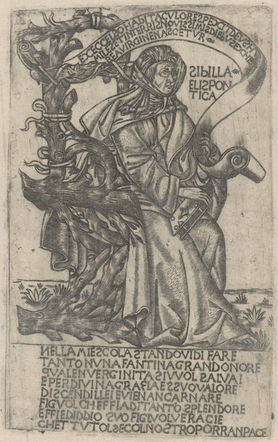 Sibila Helespontina de after Baccio Baldini