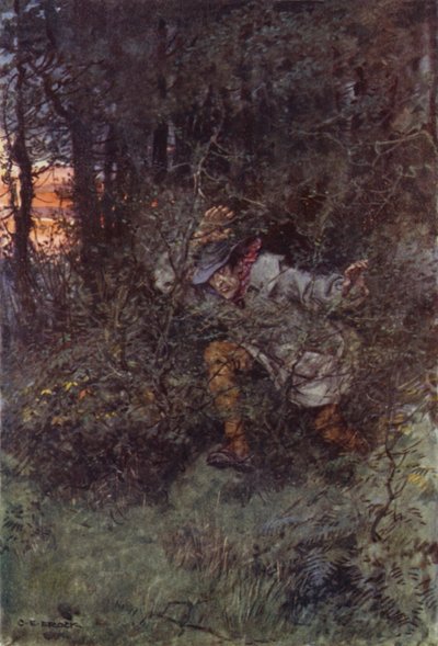 Ilustração para Martin Chuzzlewit de after Charles Edmund Brock