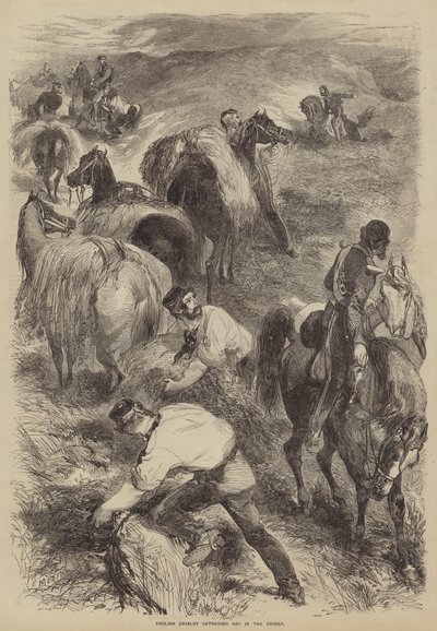 Cavalaria inglesa que recolhe o feno na Crimeia de after Edmond Morin