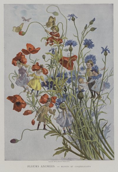 Fleurs Animees. Bluets et Coquelicots. (Flores animadas: flores e papoulas) de after Firmin Bouisset