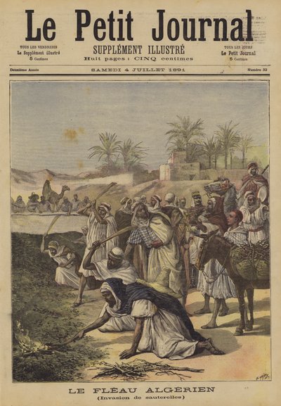 A peste argelina de after Henri Meyer